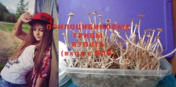 прущие грибы Кирс