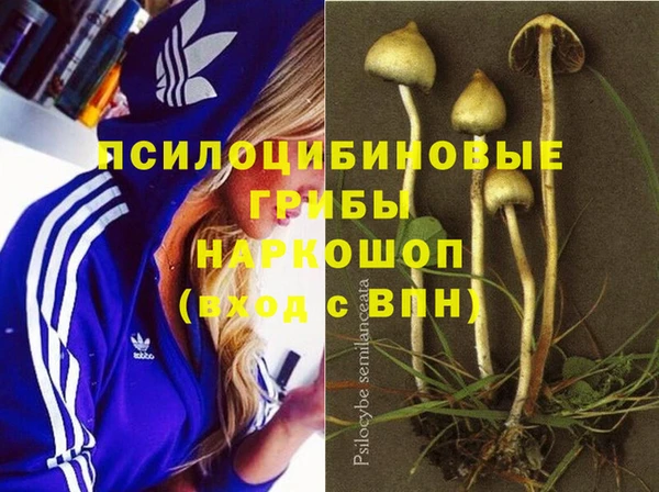 винт Усолье-Сибирское