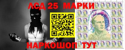 бошки Моздок