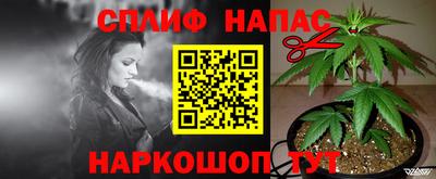 бошки Моздок