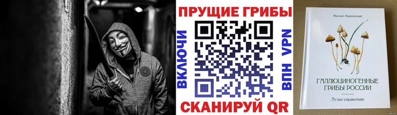 хочу наркоту  Челябинск  Галлюциногенные грибы мухоморы 